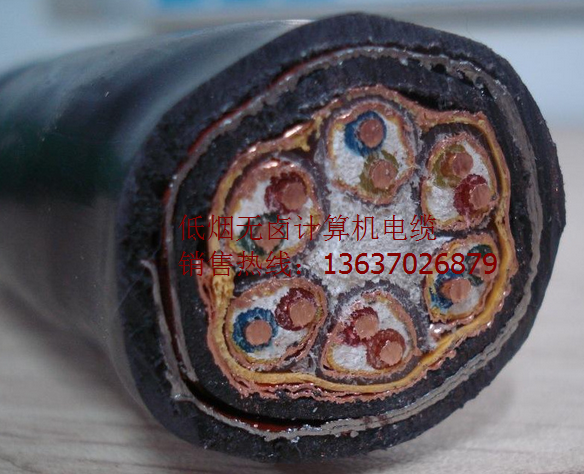 計算機電纜DJVPVP22-12*2*2.5