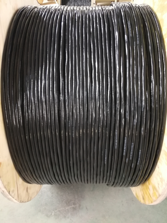 17052818248542.jpg 伴熱電纜IMG_20180323_095957_編輯.jpg