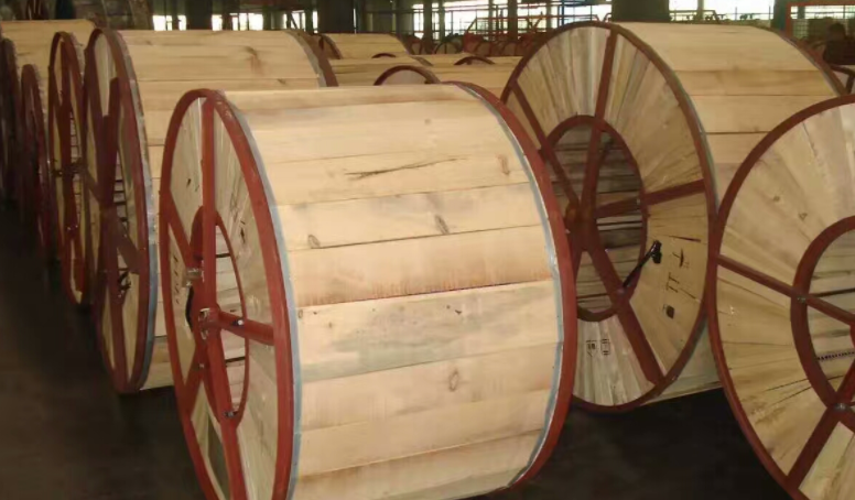 17053688559253.png QQ截圖20231119100351.png