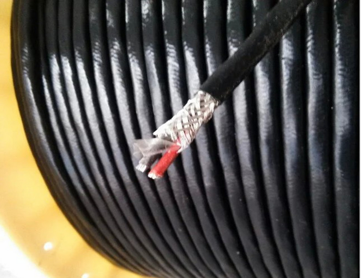 耐高溫防腐電纜FF FFP FF22