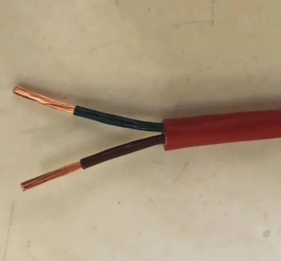 耐高溫補償導線ZR-KX-GSFV ZR-KXGSVP